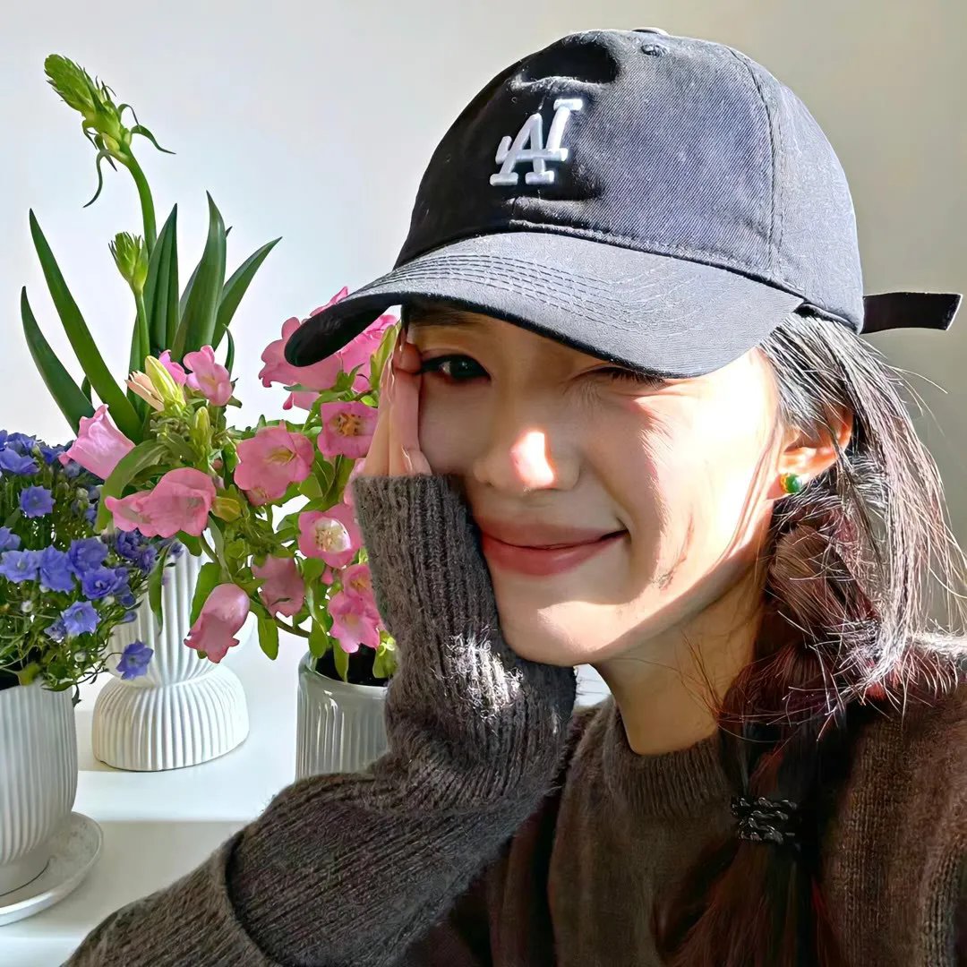 哈莱姆的郁金香海报